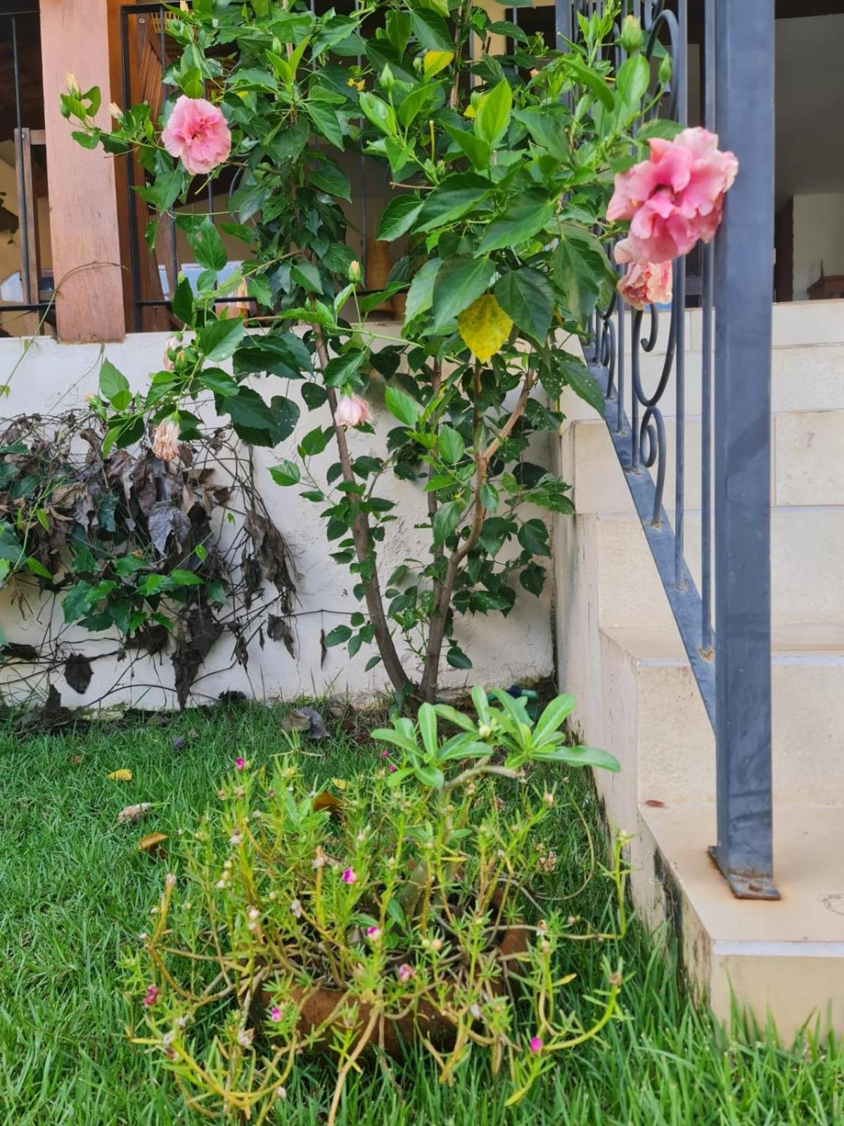 Casa Bonita - Aconchegante Se Divertir E Descansar Pirenopolis